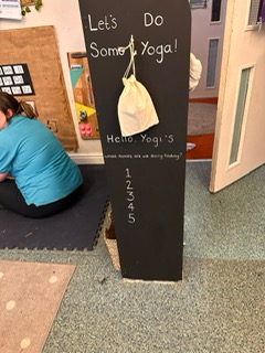 Yoga Bags