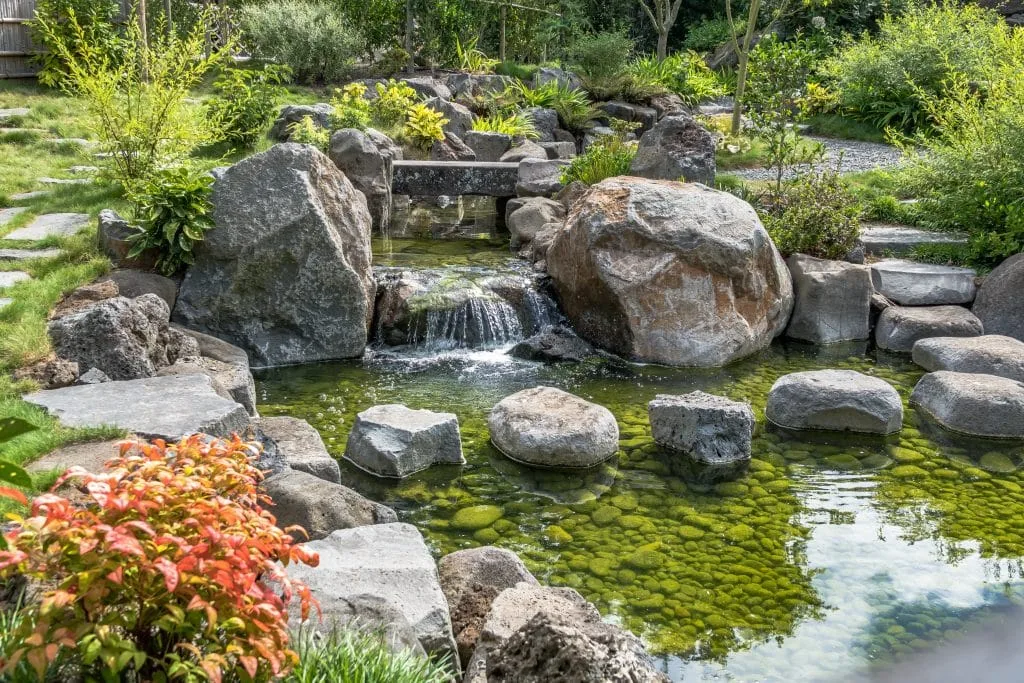 AdobeStock_363824163-1024x683