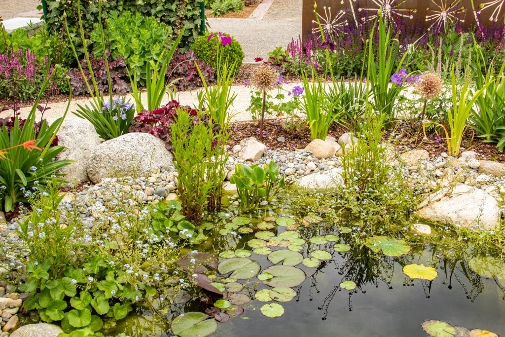 Pond