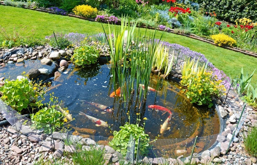 garden-pond-design-tips-and-ideas