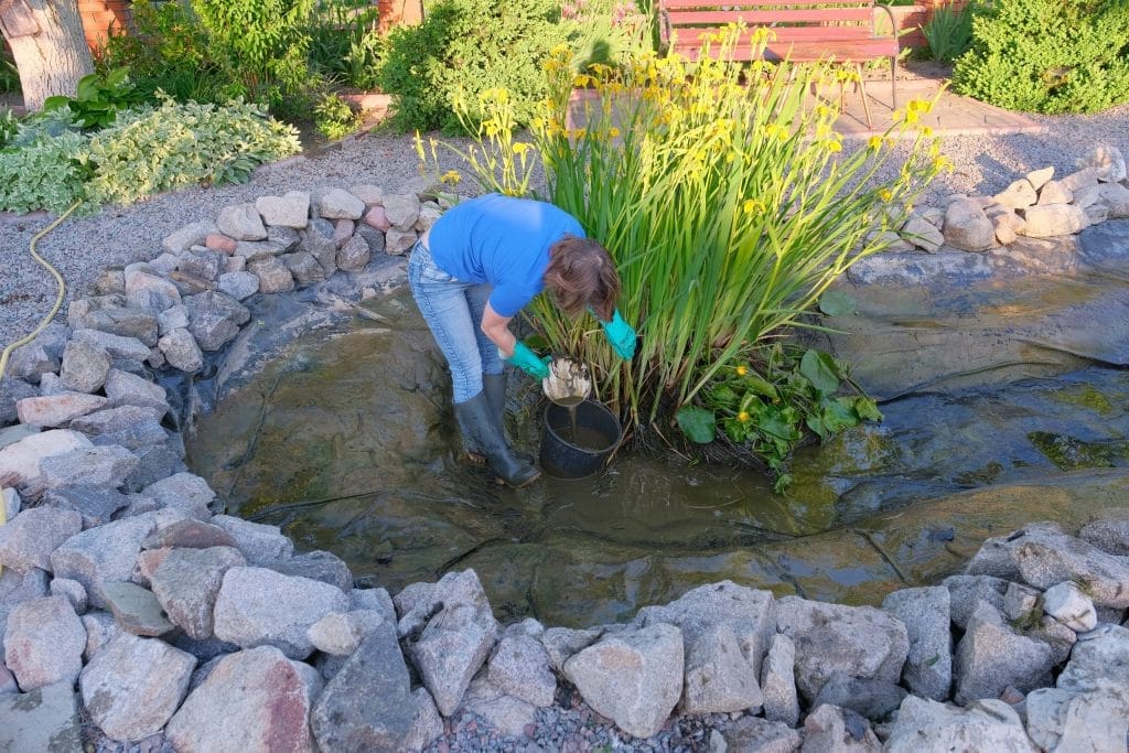 everything-you-need-pond-cleaning-and-maintenance