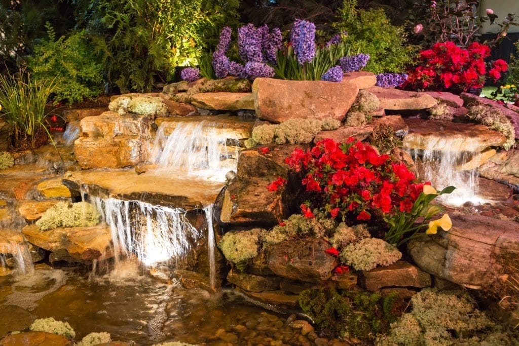 achieve-crystal-clear-pond-water-tips-and-tricks
