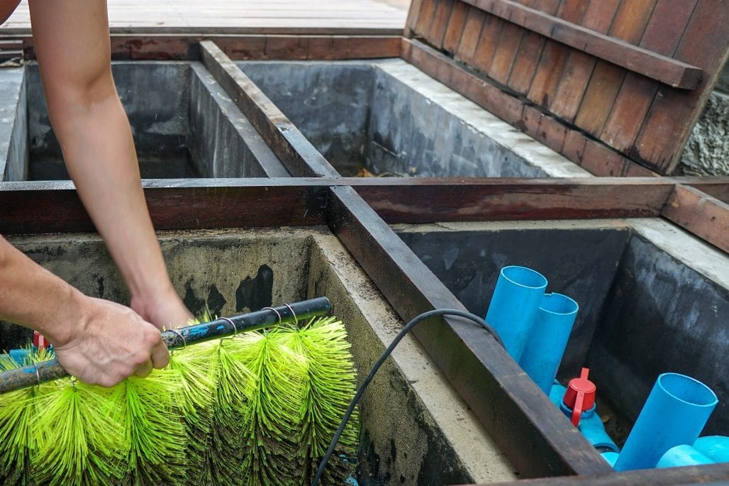 garden-pond-maintenance-near-me
