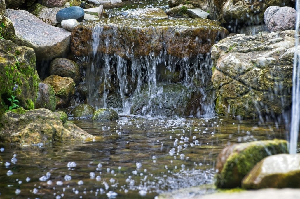 how-to-maintain-healthy-pond-oxygen-levels