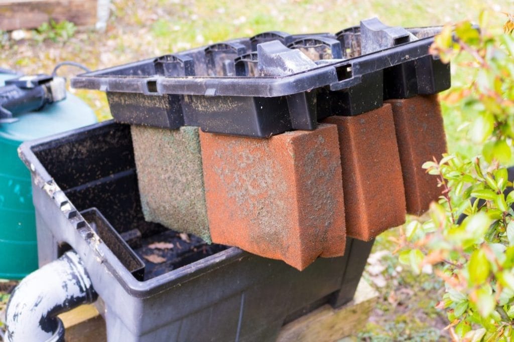 how-pond-filters-work-essential-guide