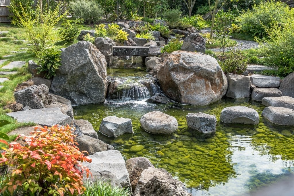 swimming-pool-cleaning-transforming-murky-waters