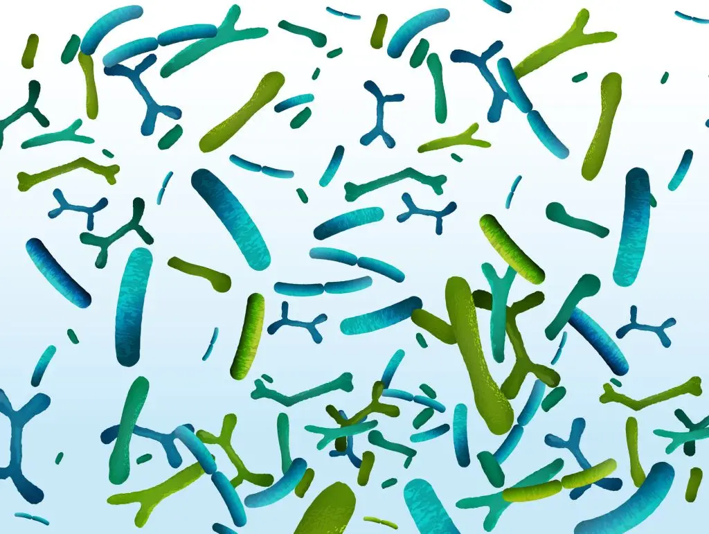 should-i-add-bacteria-to-my-pond