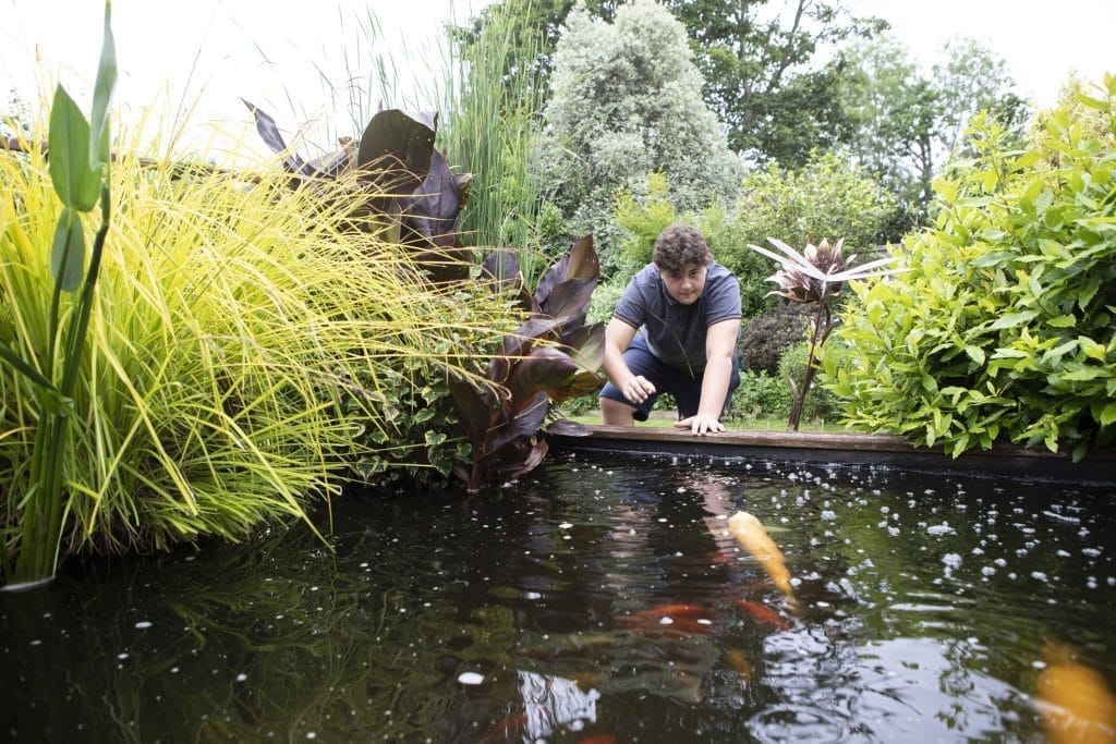 when-cleaning-your-pond-we-take-the-following-steps