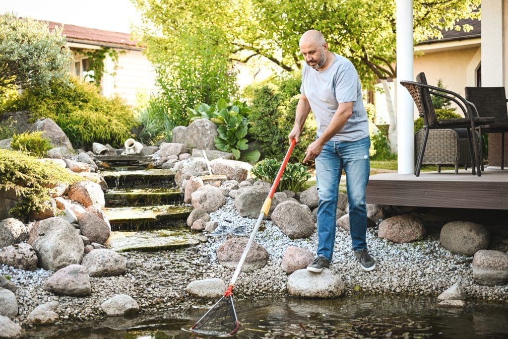 pricing-for-pond-cleaning