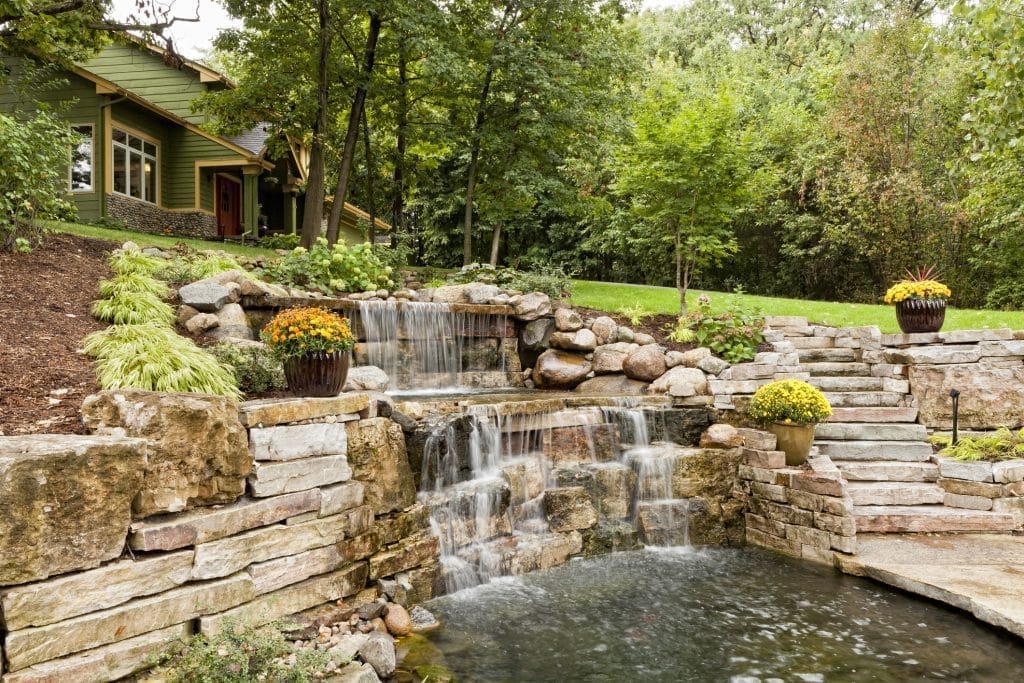 oxygenating-pond-weed-bunches-plants