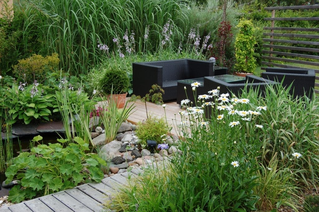 what-are-marginal-pond-plants