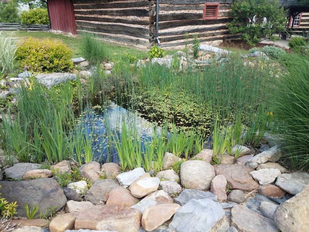 pond-cleaning