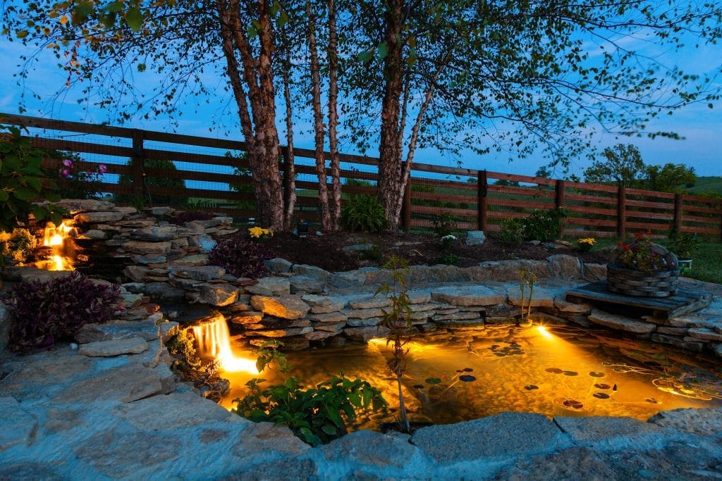 how-to-beautifully-illuminate-your-pond