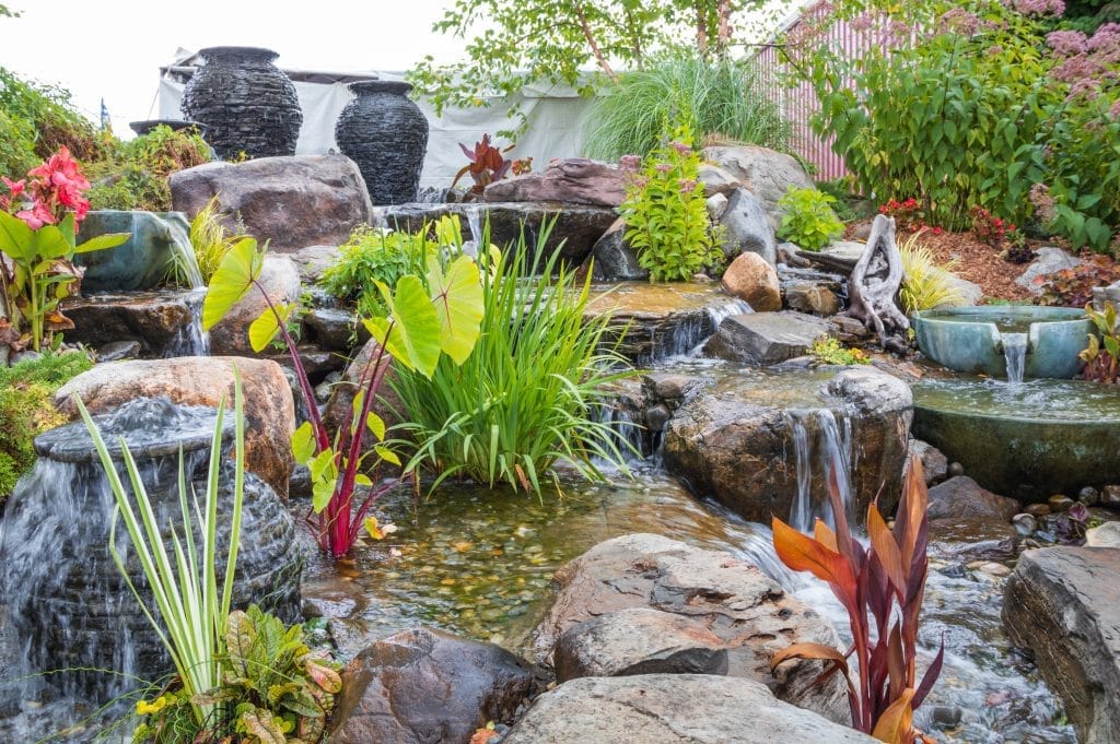 how-to-create-a-clean-and-clear-ecosystem-pond