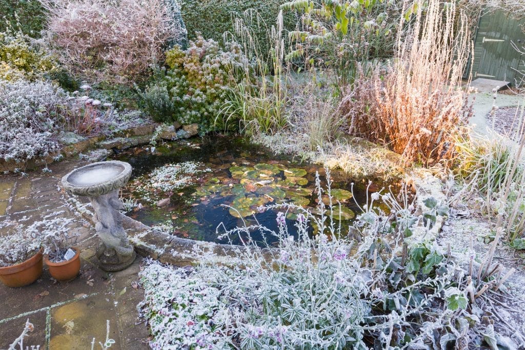 pond-de-icer-for-koi-ponds-essential-winter-care