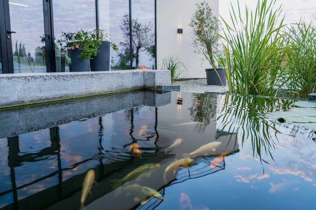 modern-garden-ponds
