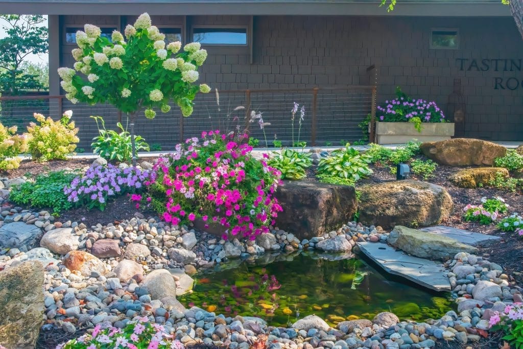 planting-suggestions-for-around-not-in-a-new-pond
