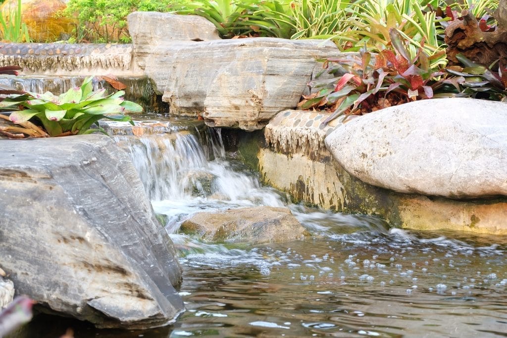 how-to-take-care-of-your-new-ecosystem-pond