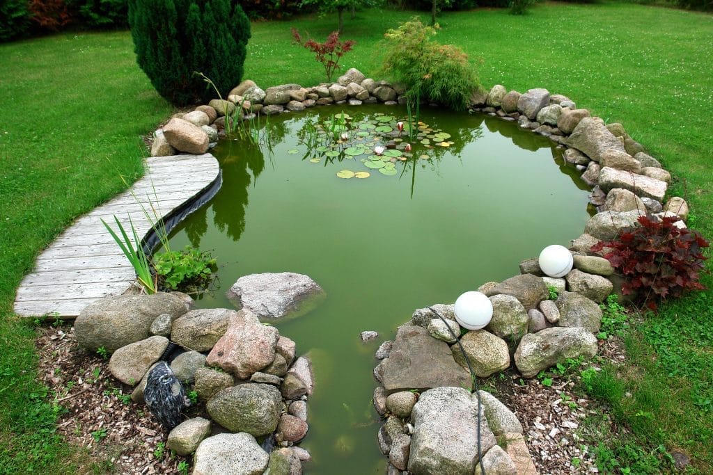 how-to-clear-prevent-green-water-in-ponds