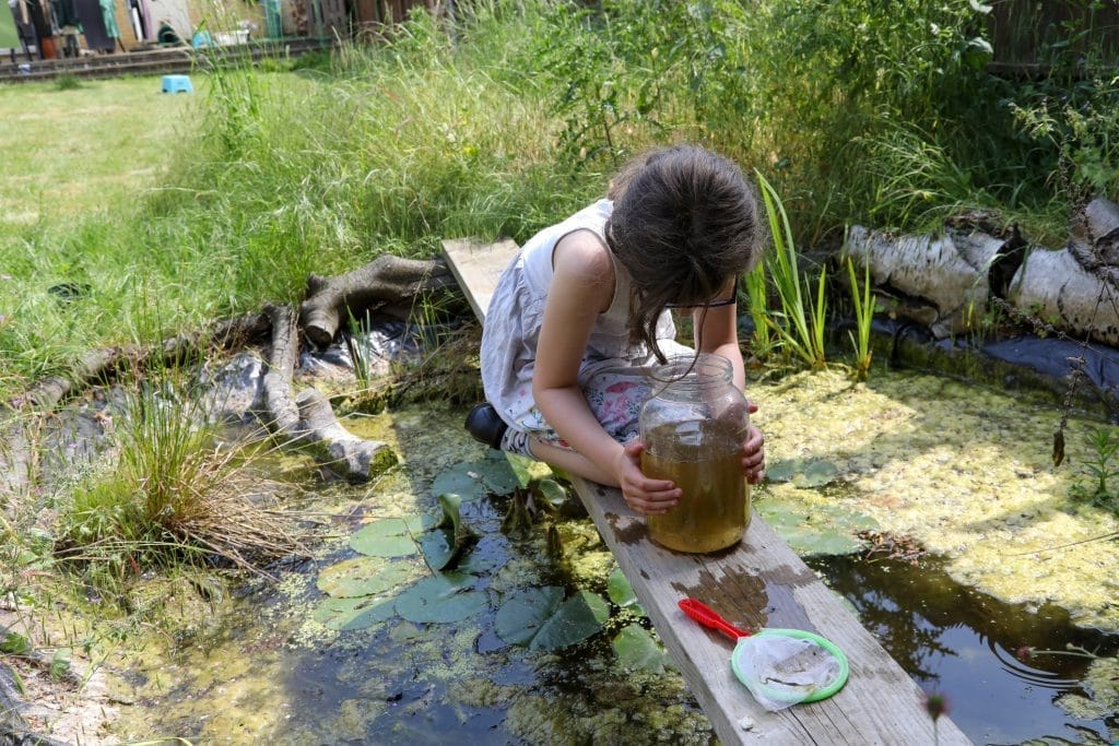 a-guide-to-pond-dipping-things-to-know