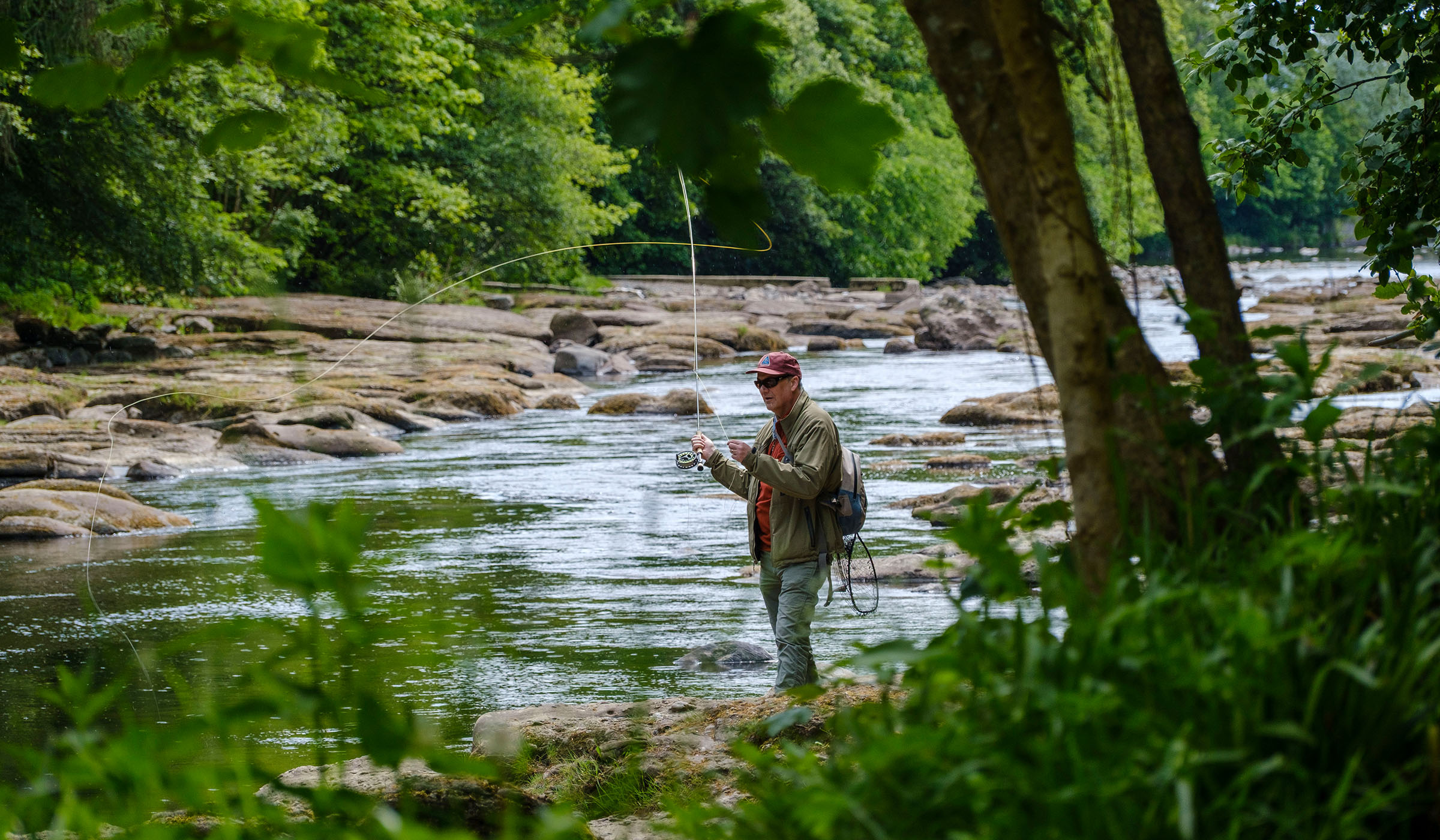 banner image 4