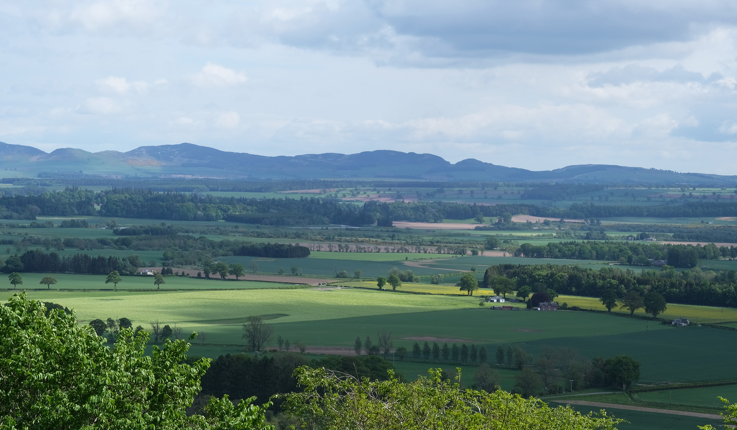 banner image 6