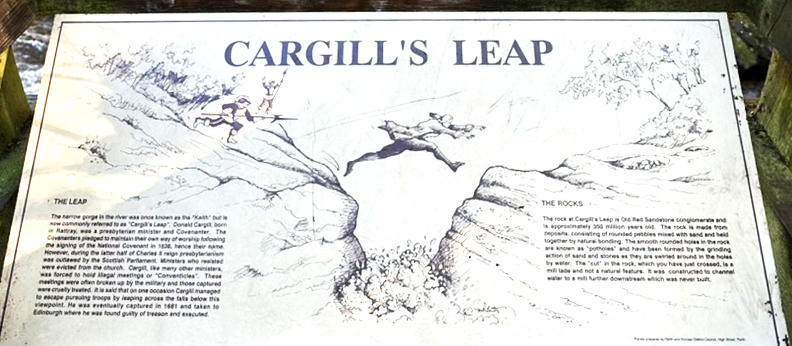 banner image 1