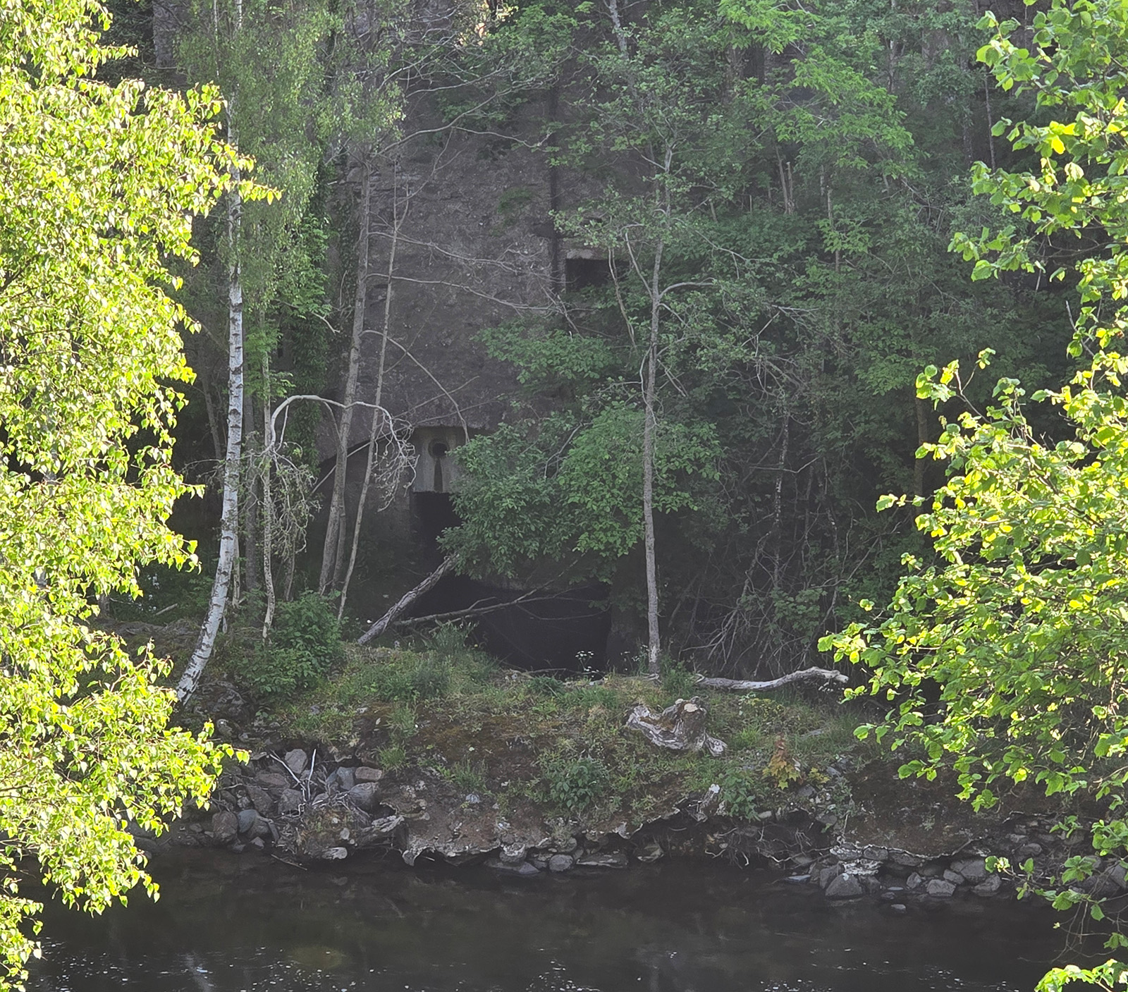 banner image 1