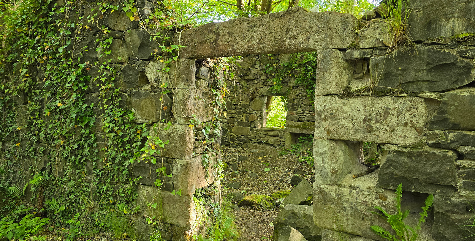 banner image 3