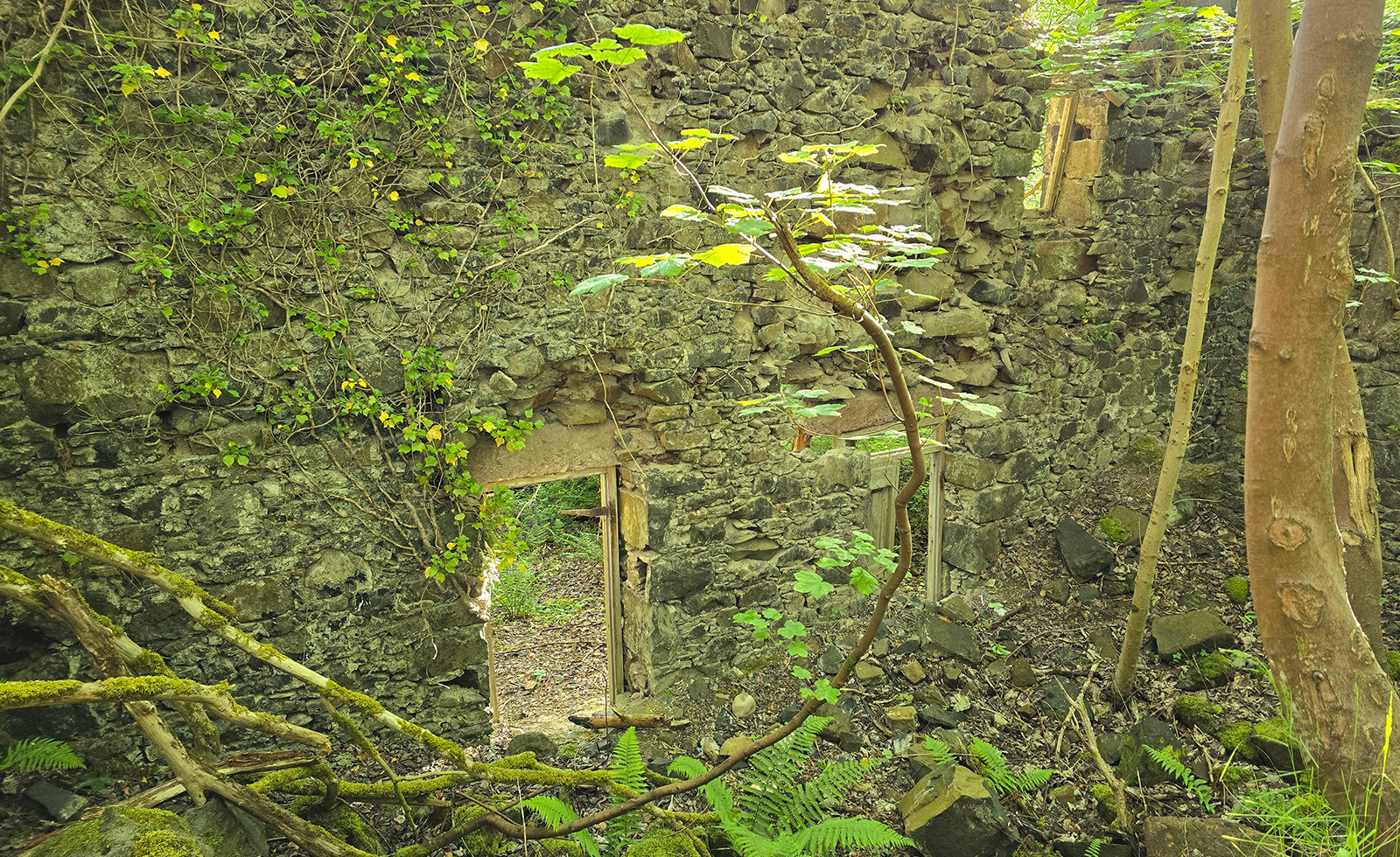banner image 4