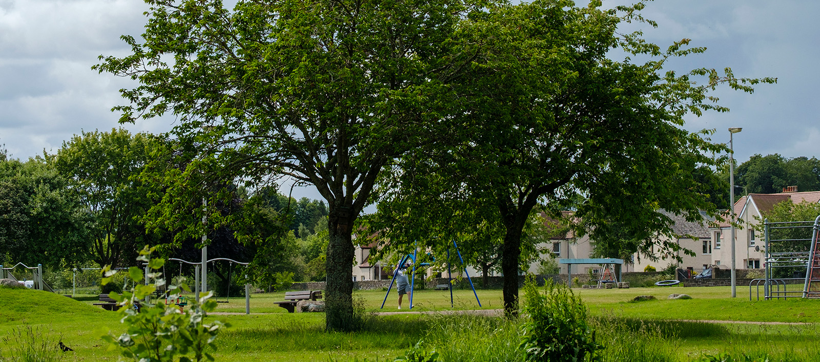 banner image 2