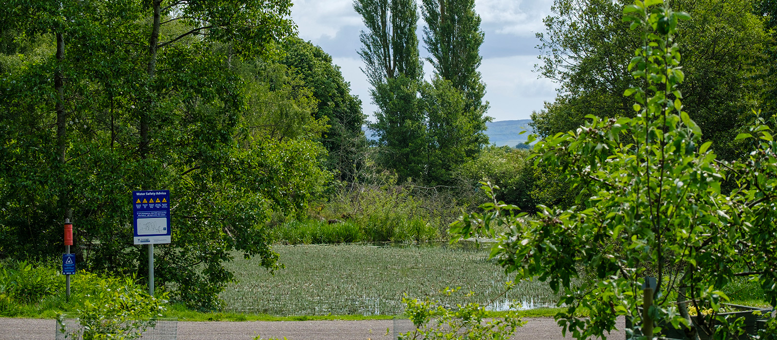banner image 6