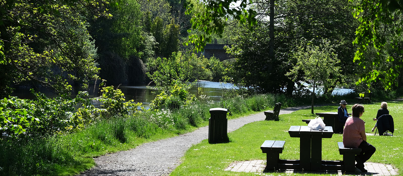banner image 4
