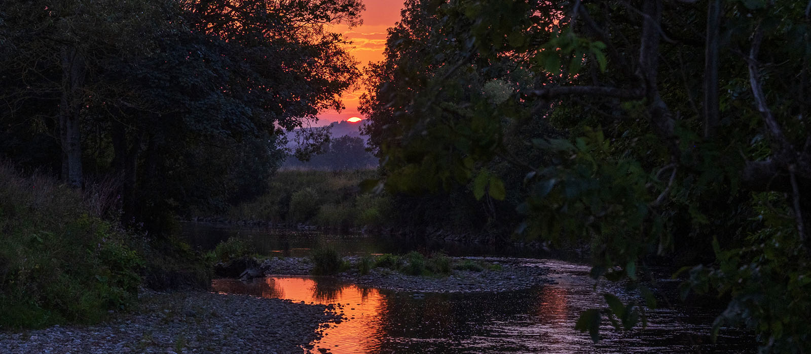 banner image 6