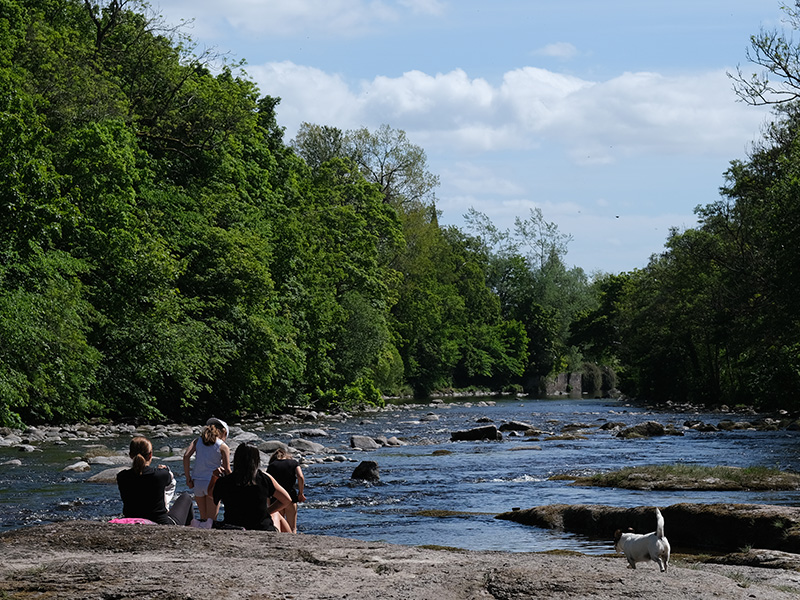 banner image 7