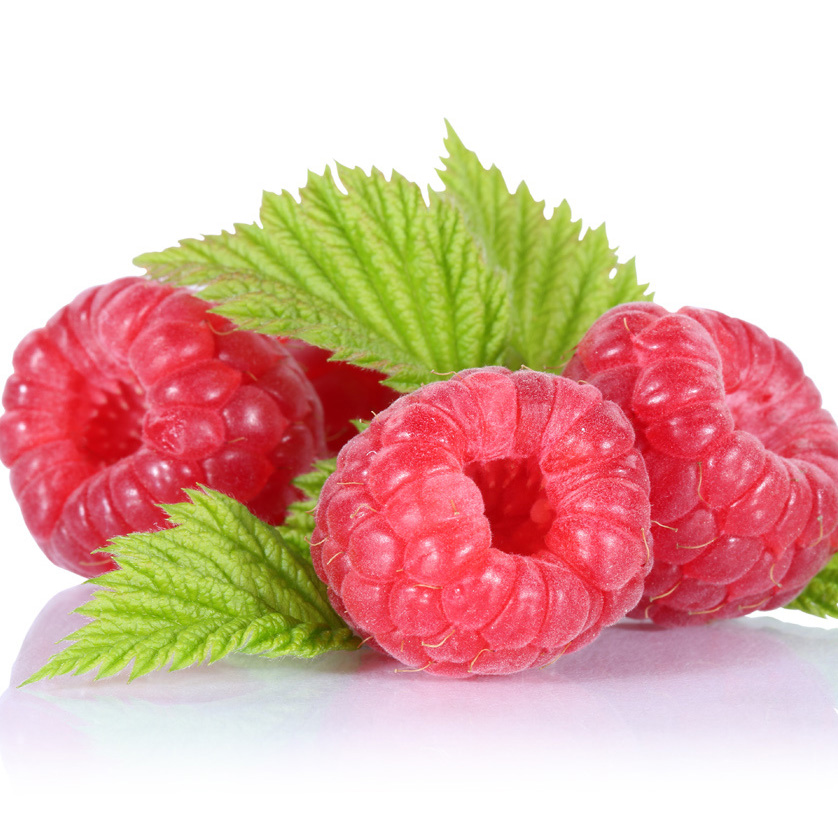 Rasps