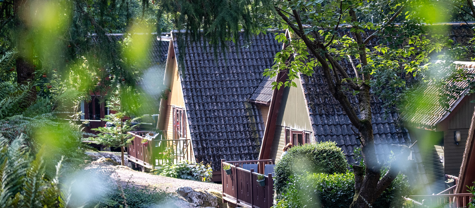 banner image