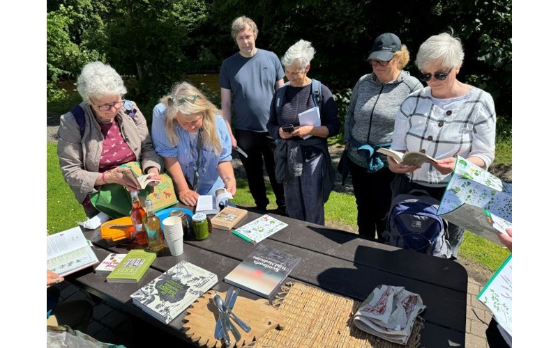 Blairgowrie and Rattray bioblitz hailed as a great success