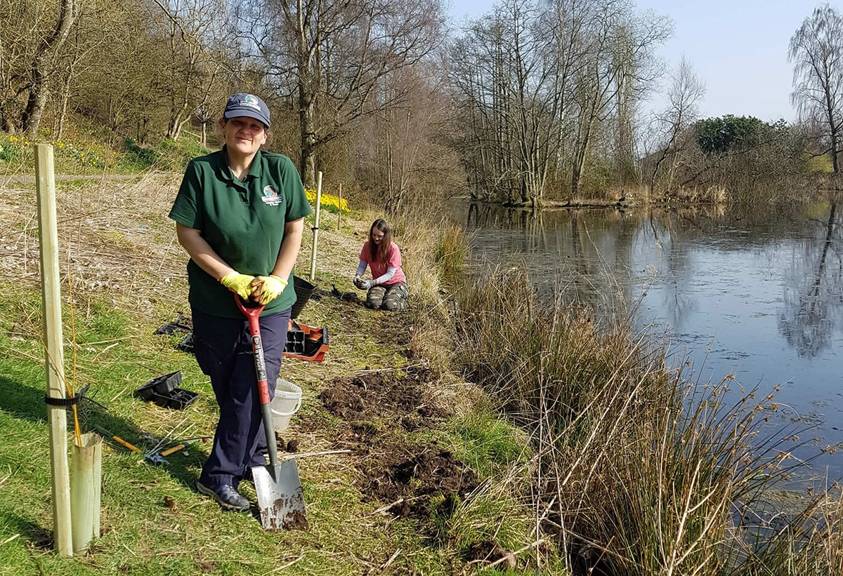 Planting trees by Davie Park pond