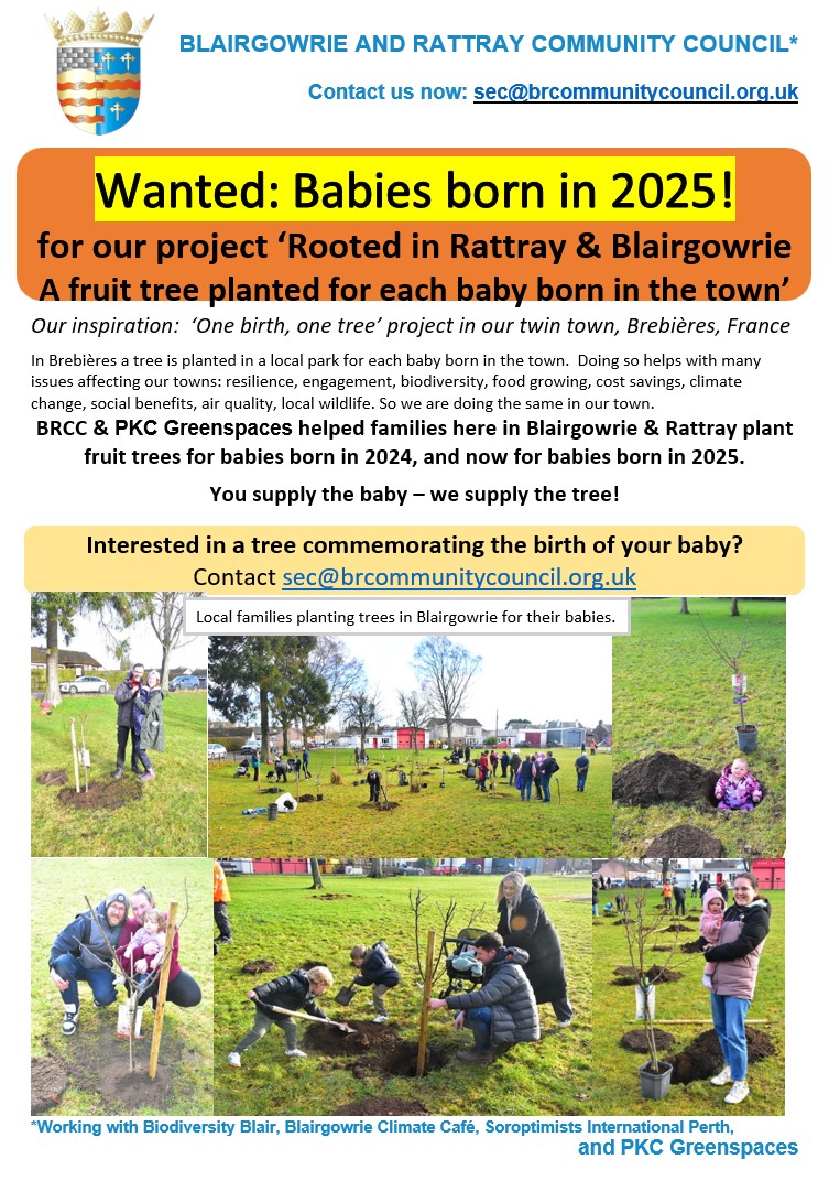 https://files.uk-siteglide.com/instances/72/assets/Baby%20born%20in%202025?&updated=1785577336