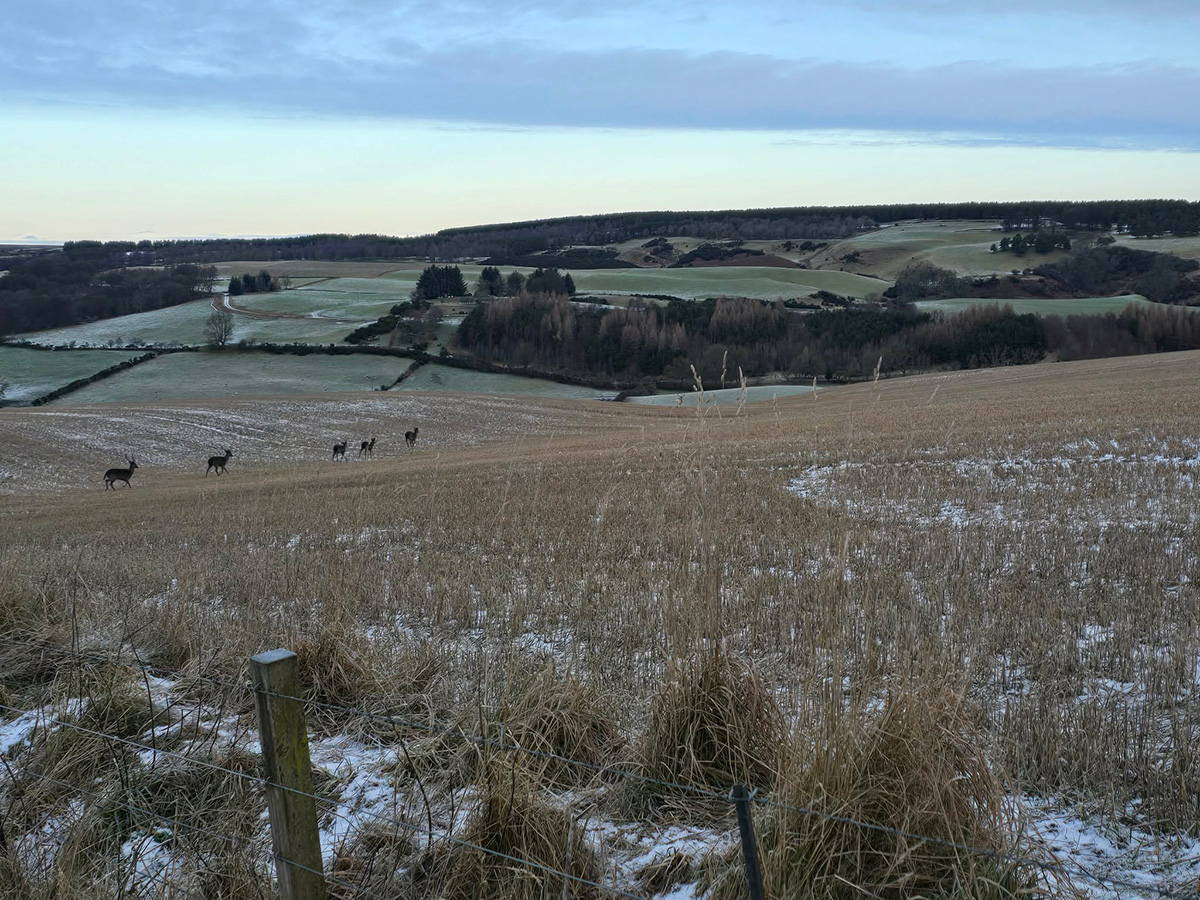 Lunan Burn Wildlife Cluster