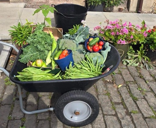 https://files.uk-siteglide.com/instances/72/assets/Join%20volunteers%20at%20Rattray%20Community%20Garden%20for%20first%20harvest%20festival?updated=1788782894