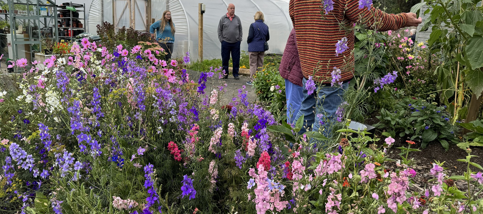 Rattray Community Garden update June 2023