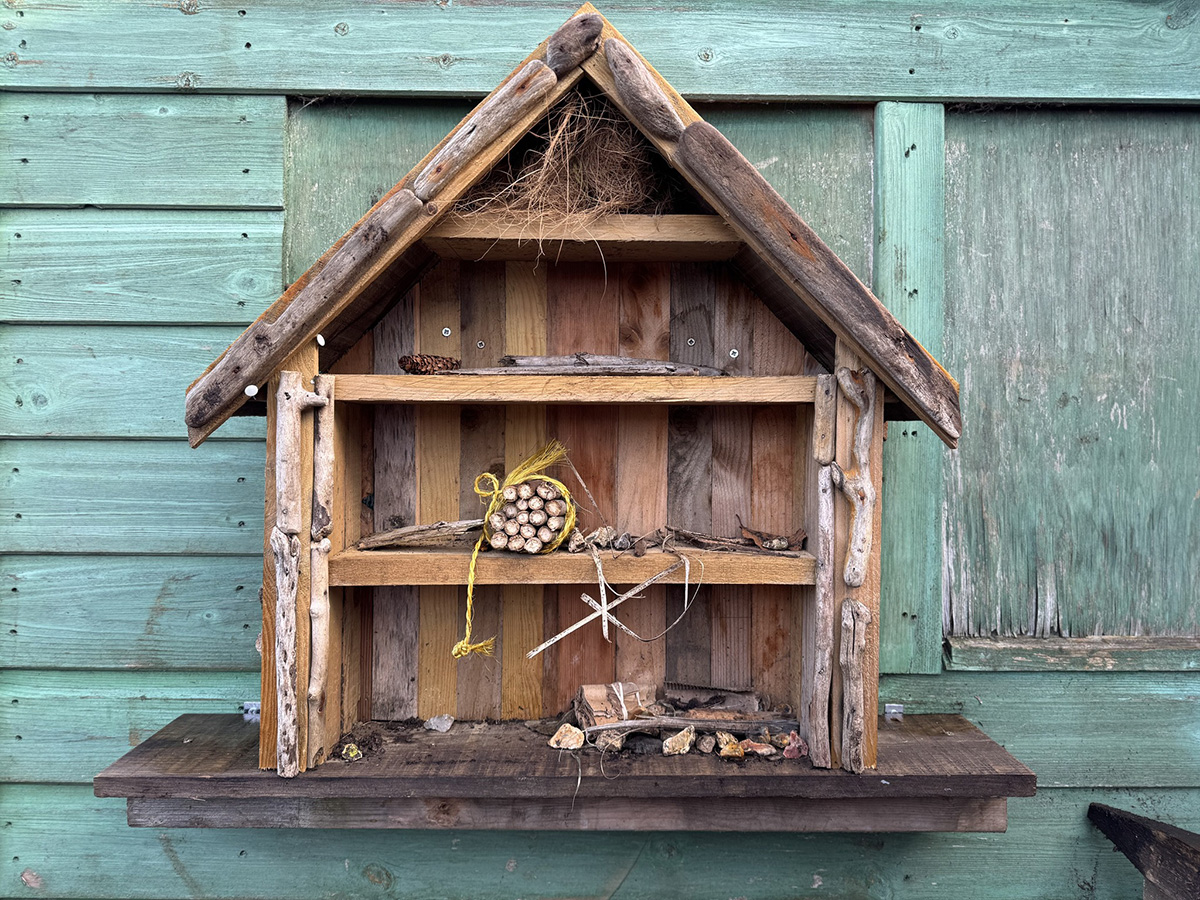 The bug hotel opens