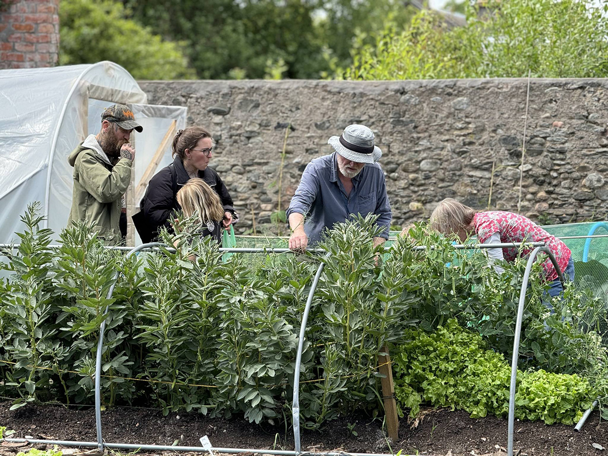 Great turnout at Rattray Community Garden open day