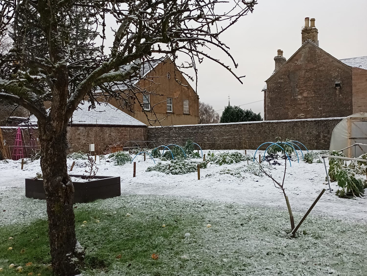 December Frosts