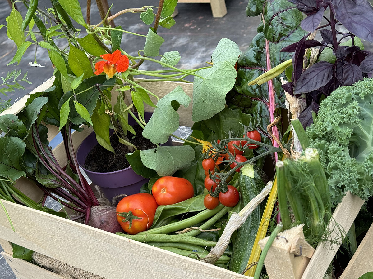 https://files.uk-siteglide.com/instances/72/assets/New%20%E2%80%98veg%20in%20a%20bag%E2%80%99%20offering%20from%20Rattray%20Community%20Garden?updated=1791472720