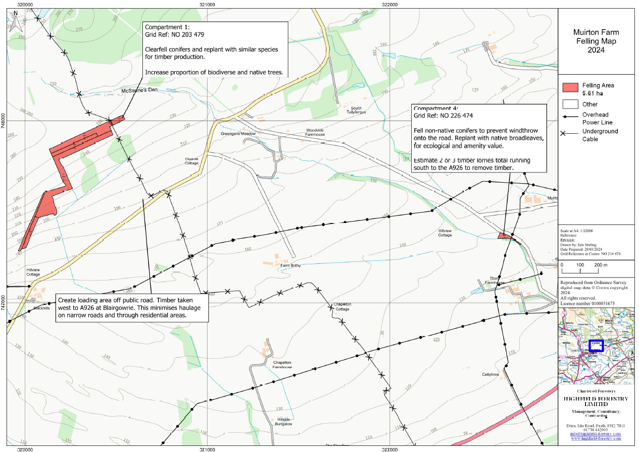 Muirton Farm Woods - Tree Felling - 2024