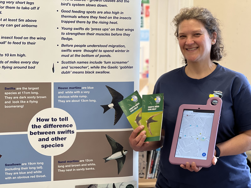 Chance to become a 'Swiftie' thanks to new project