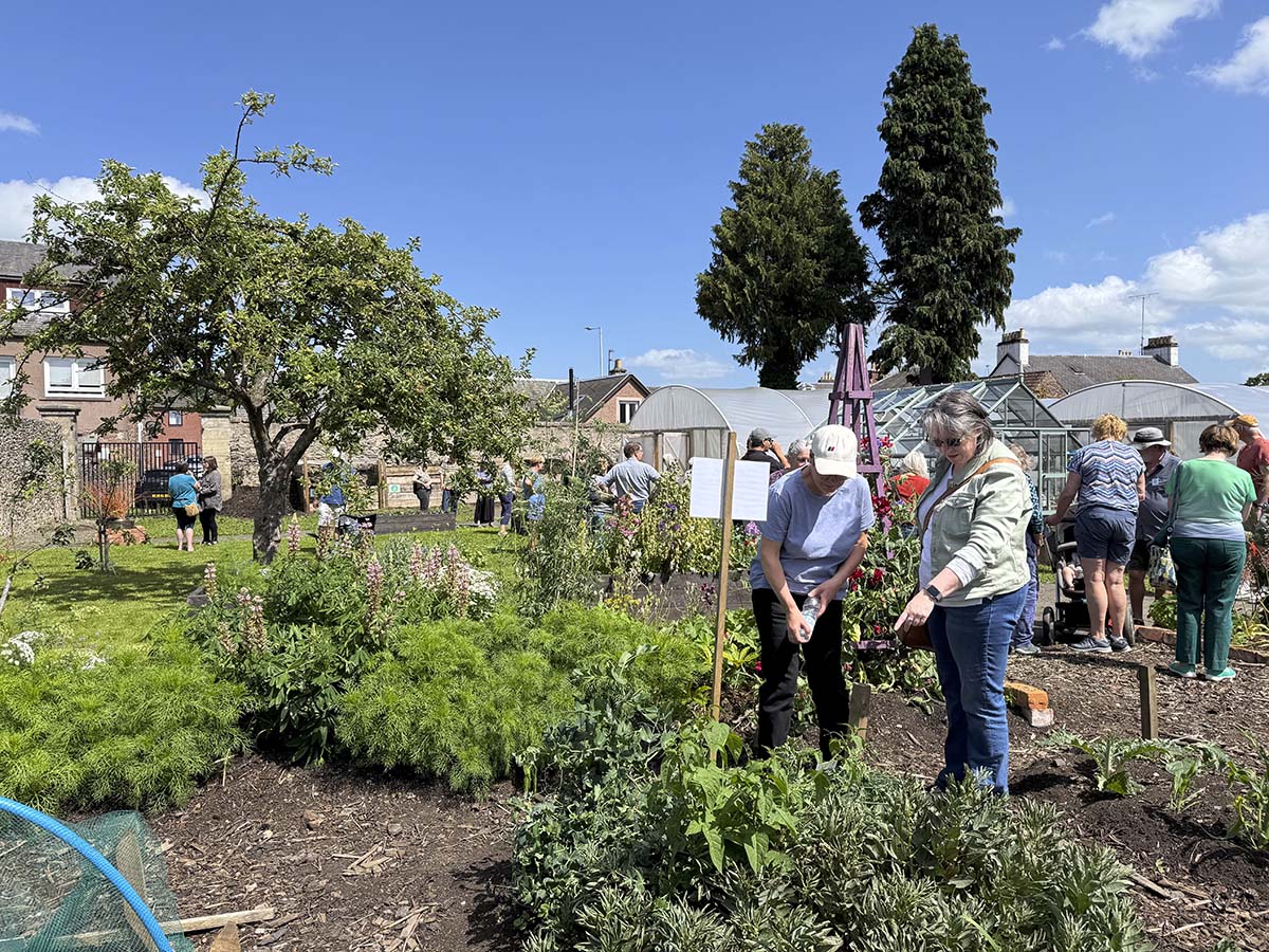 Volunteers thanked at grand opening of Rattray Community Garden